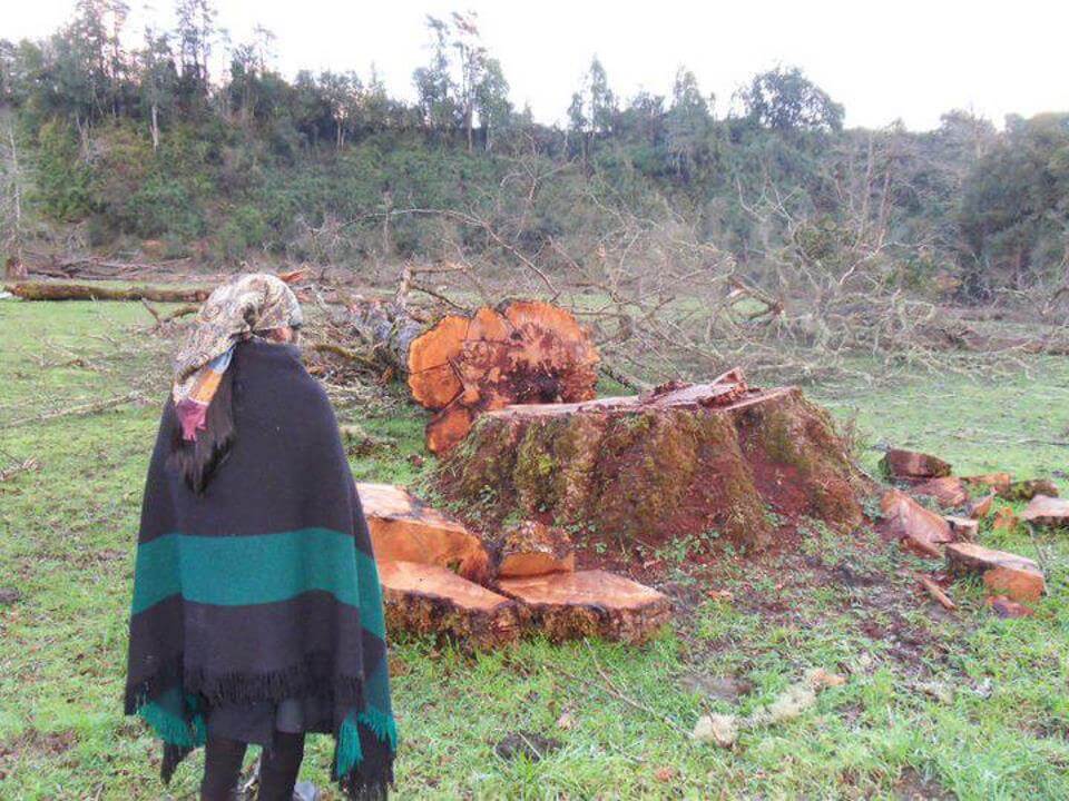 La lucha del pueblo mapuche
